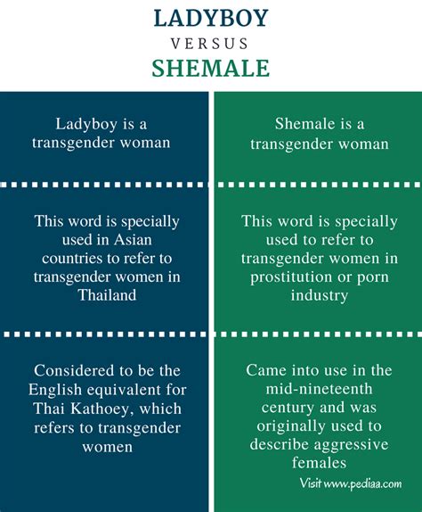 tranny vs shemale|The Difference Between Transgender and Transsexual Women